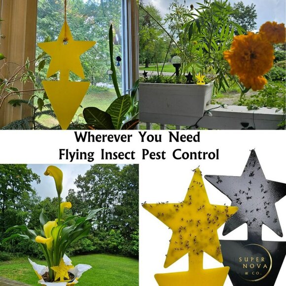 Sticky Fruit Fly Traps Star-Shaped 30pk Indoor Plants Outdoor Garden Double-Side - Picture 6 of 7